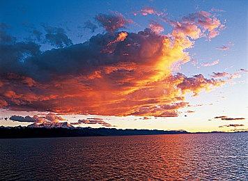 互动声画读物《万言堂代笔工房》Steam页面开放 明年发售